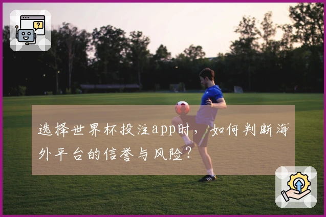 选择世界杯投注app时，如何判断海外平台的信誉与风险？