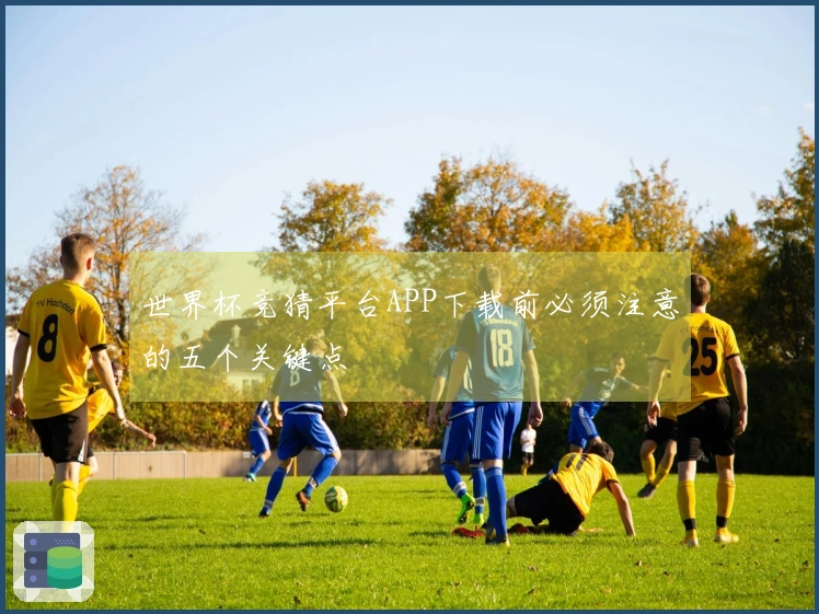 世界杯竞猜平台APP下载前必须注意的五个关键点
