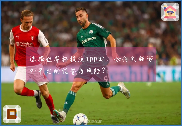 选择世界杯投注app时，如何判断海外平台的信誉与风险？